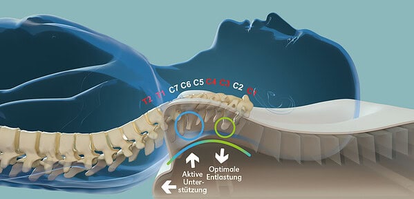 NeckProtect® Nackenkissen Centa-Star » - Bettenhaus Schlafoase Nürnberg «